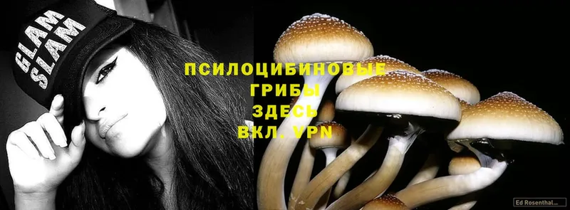 Галлюциногенные грибы Magic Shrooms  hydra ссылки  Балашов 